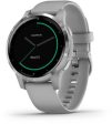 Vivoactive 4, Powder GrayGarmin Online now